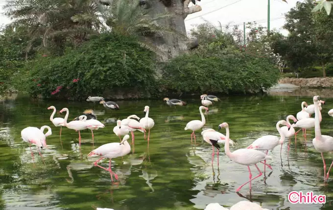 باغ پرندگان از بهترین جاهای دیدنی شرق تهران