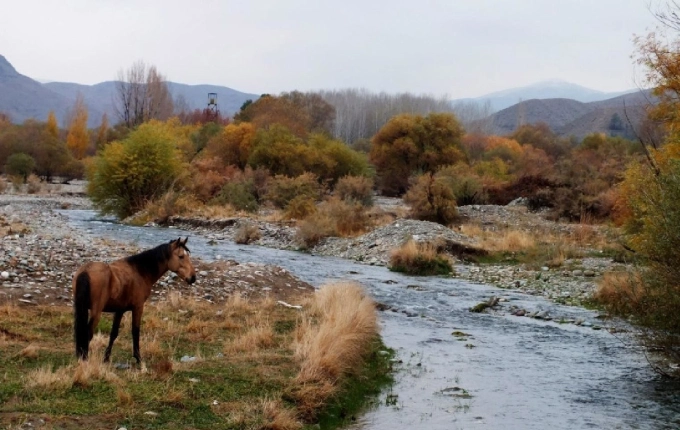 خجیر از بهترین پارک های شرق تهران