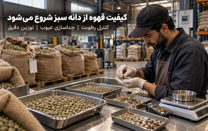 ورود دانه سبز و آماده سازی برای رست